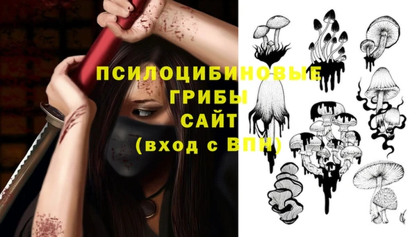 крисы Надым