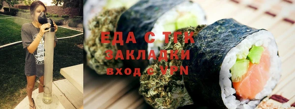 крисы Надым
