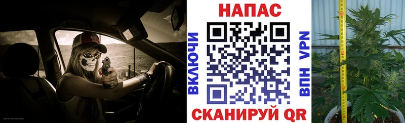 что такое наркотик  Починок  Конопля MAZAR 